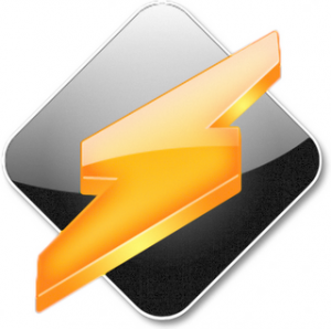 Winamp Pro 5.581 Build 2985 [RePack] Shareware